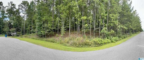 3 Acres of Residential Land for Sale in Chelsea, Alabama