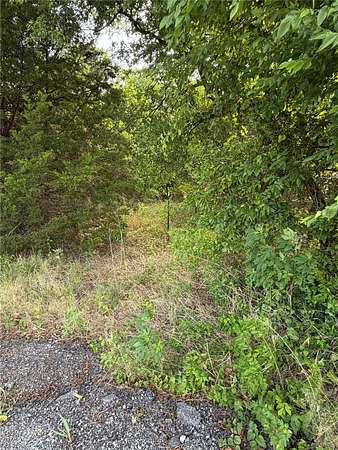 10 Acres of Recreational & Residential Land for Sale in Grandview, Texas