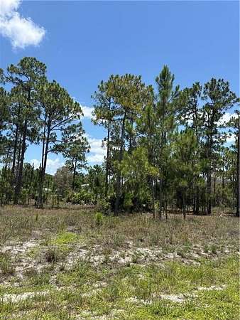 1 Acre of Residential Land for Sale in Lehigh Acres, Florida