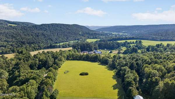 31.3 Acres of Land for Sale in Franklin, New York