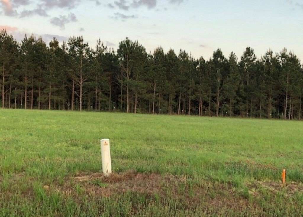 0.92 Acres of Residential Land for Sale in Boston, Georgia