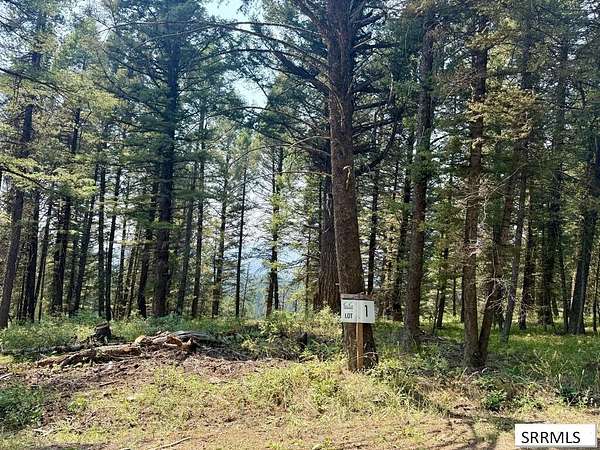 1.7 Acres of Residential Land for Sale in Island Park, Idaho