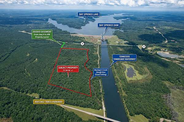 71.5 Acres of Land for Sale in New Site, Mississippi