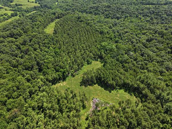 104 Acres of Land for Auction in McConnelsville, Ohio