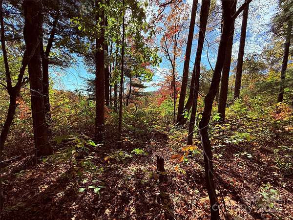 2.29 Acres of Residential Land for Sale in Flat Rock, North Carolina