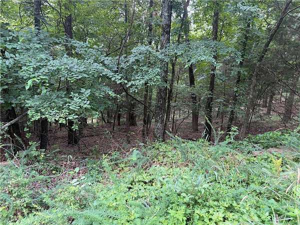 2 Acres of Residential Land for Sale in Goshen, Arkansas
