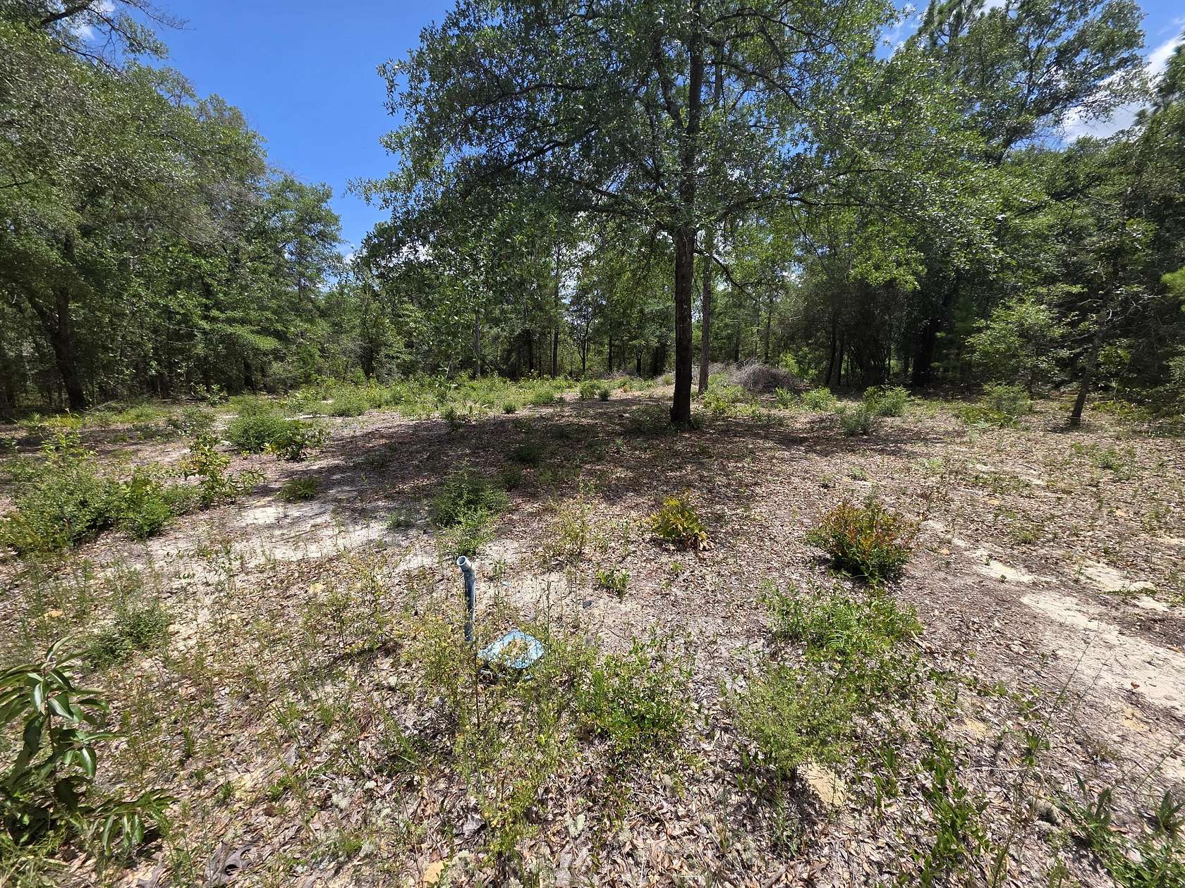 0.23 Acres of Residential Land for Sale in DeFuniak Springs, Florida