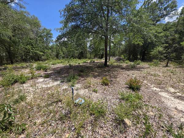 0.23 Acres of Residential Land for Sale in DeFuniak Springs, Florida