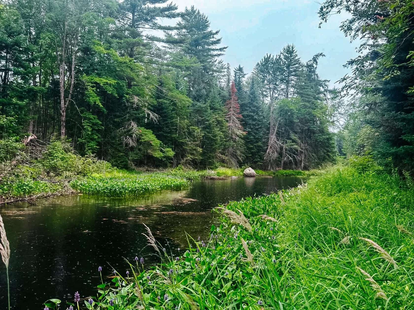5 Acres of Land for Sale in Argyle Township, Maine
