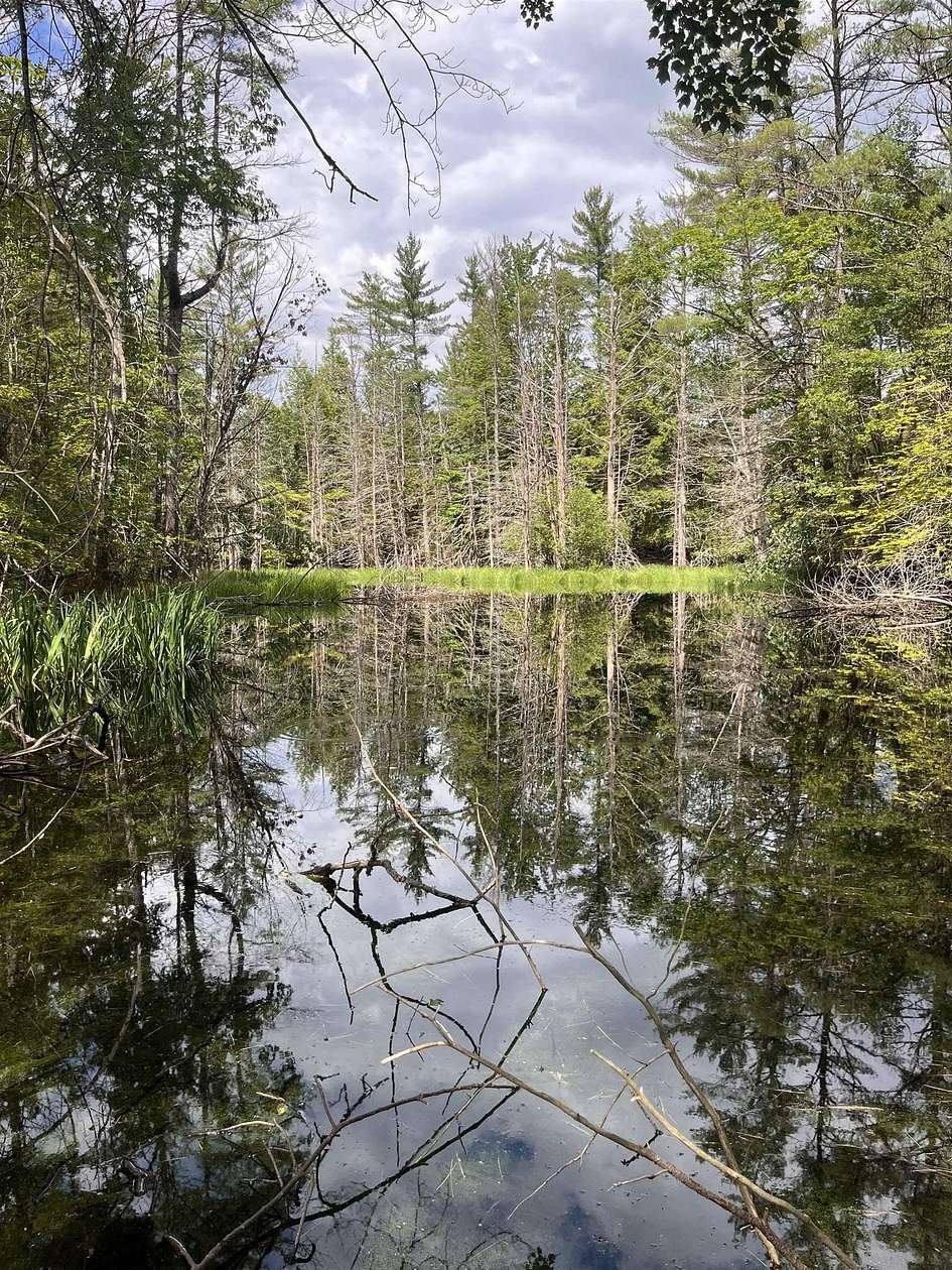 67 Acres of Recreational Land for Sale in Plainfield, New Hampshire