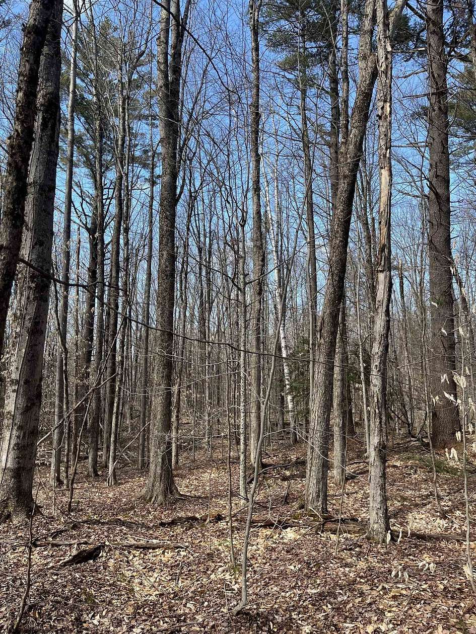 67 Acres of Recreational Land for Sale in Plainfield, New Hampshire