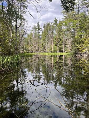 67 Acres of Recreational Land for Sale in Plainfield, New Hampshire