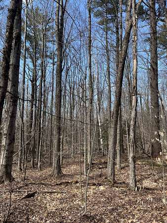 67 Acres of Recreational Land for Sale in Plainfield, New Hampshire