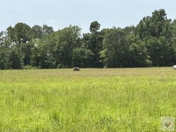 14 Acres of Land for Sale in Avery, Texas