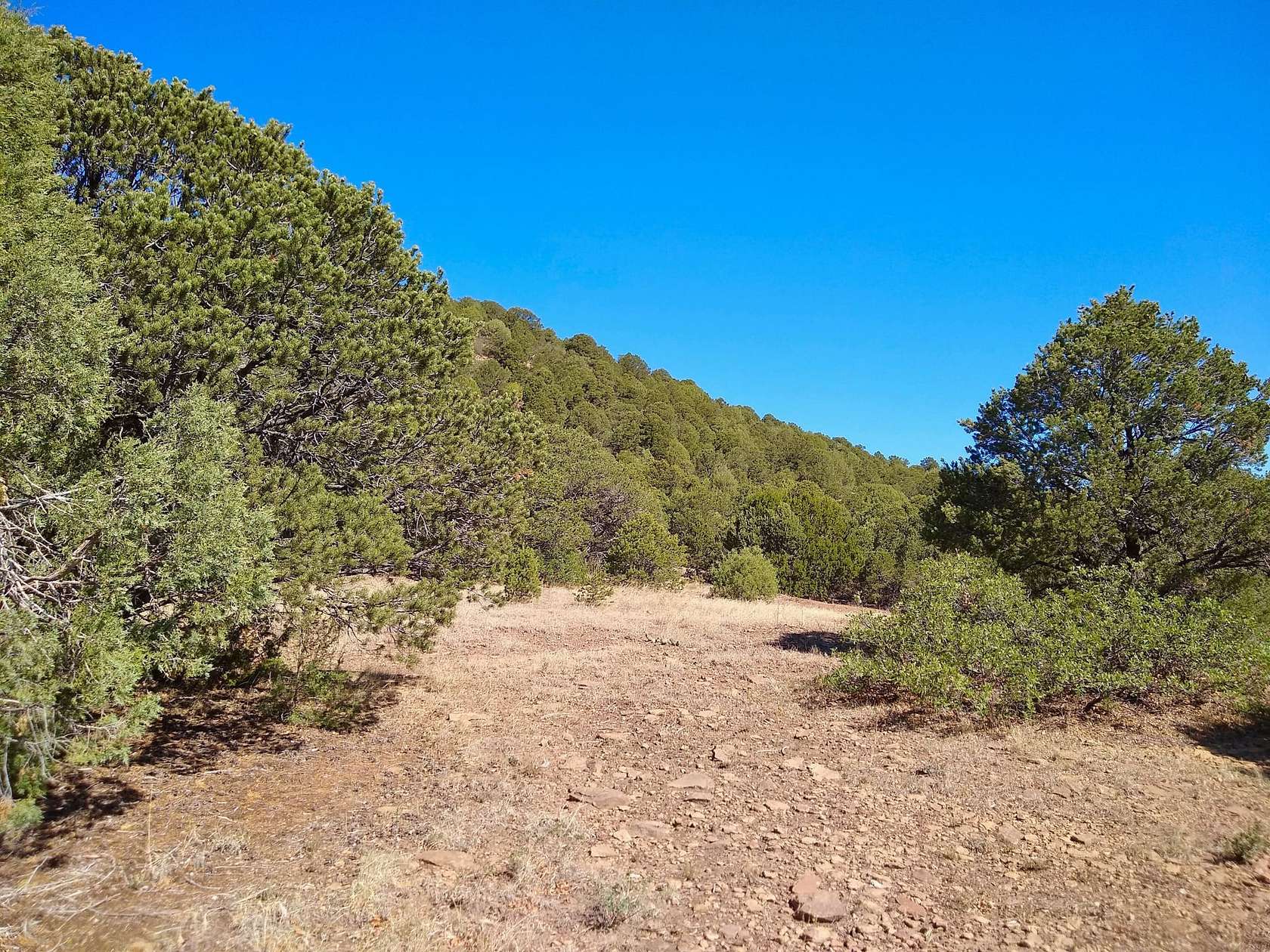 160 Acres of Recreational Land for Sale in Trinidad, Colorado