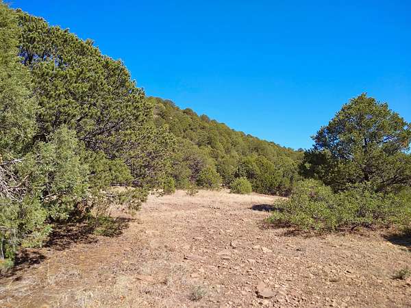160 Acres of Recreational Land for Sale in Trinidad, Colorado