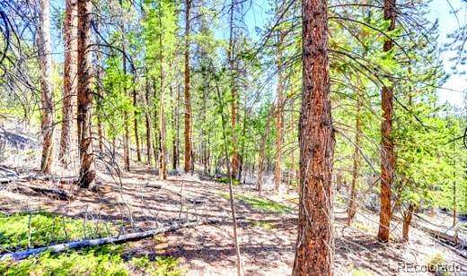 3.9 Acres of Commercial Land for Sale in Georgetown, Colorado