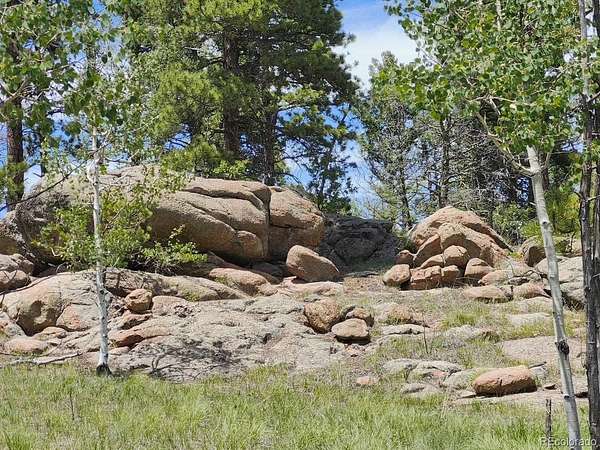 1.3 Acres of Residential Land for Sale in Florissant, Colorado