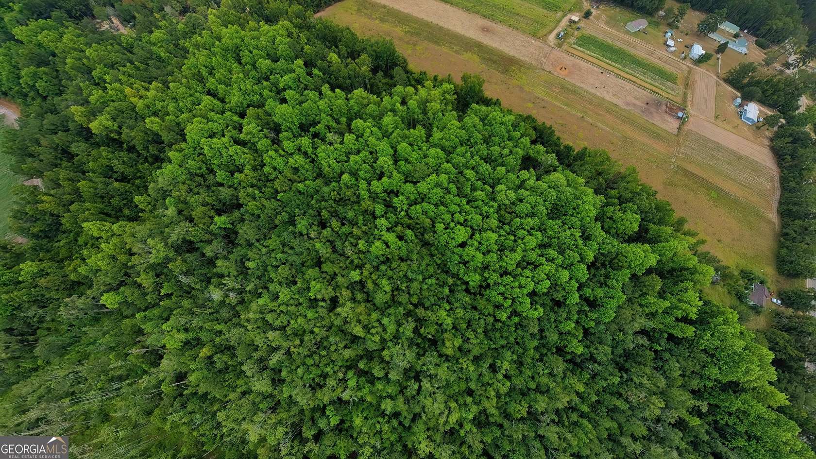 10 Acres of Mixed-Use Land for Sale in Brooklet, Georgia