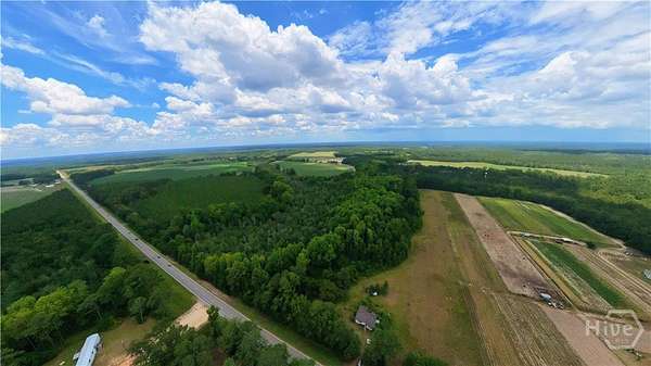 10.4 Acres of Land with Home for Sale in Brooklet, Georgia