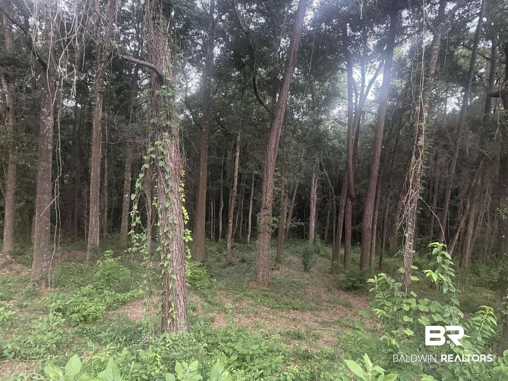 0.2 Acres of Residential Land for Sale in Fairhope, Alabama
