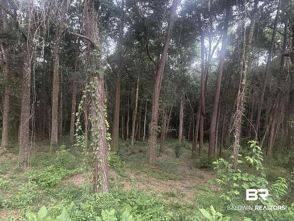 0.2 Acres of Residential Land for Sale in Fairhope, Alabama