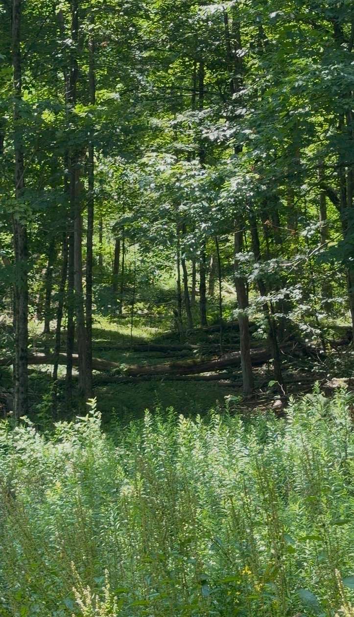 2.77 Acres of Residential Land for Sale in Roaring Brook Township, Pennsylvania