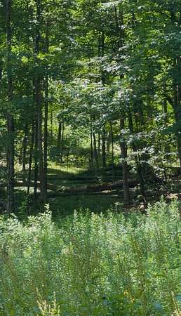 2.77 Acres of Residential Land for Sale in Roaring Brook Township, Pennsylvania