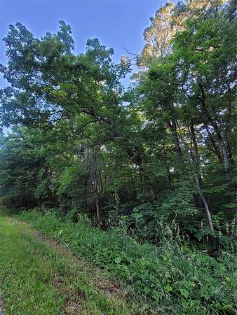 4 Acres of Land for Sale in Merrillan, Wisconsin
