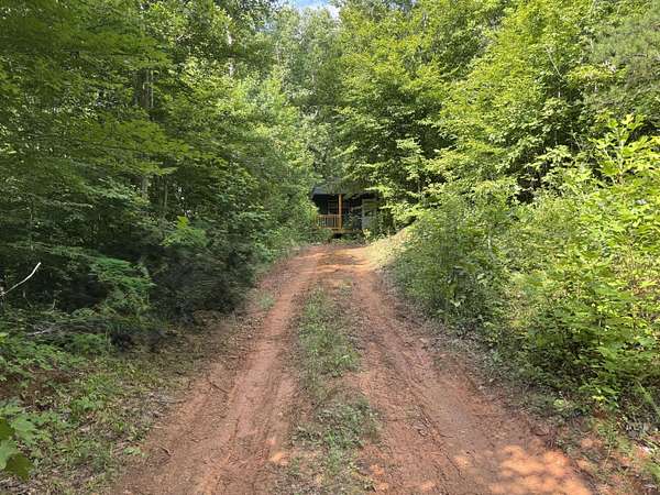 1 Acre of Residential Land for Sale in Del Rio, Tennessee