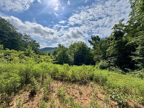 1 Acre of Residential Land for Sale in Del Rio, Tennessee