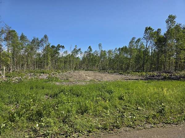 23 Acres of Recreational Land for Sale in Amity Town, Maine