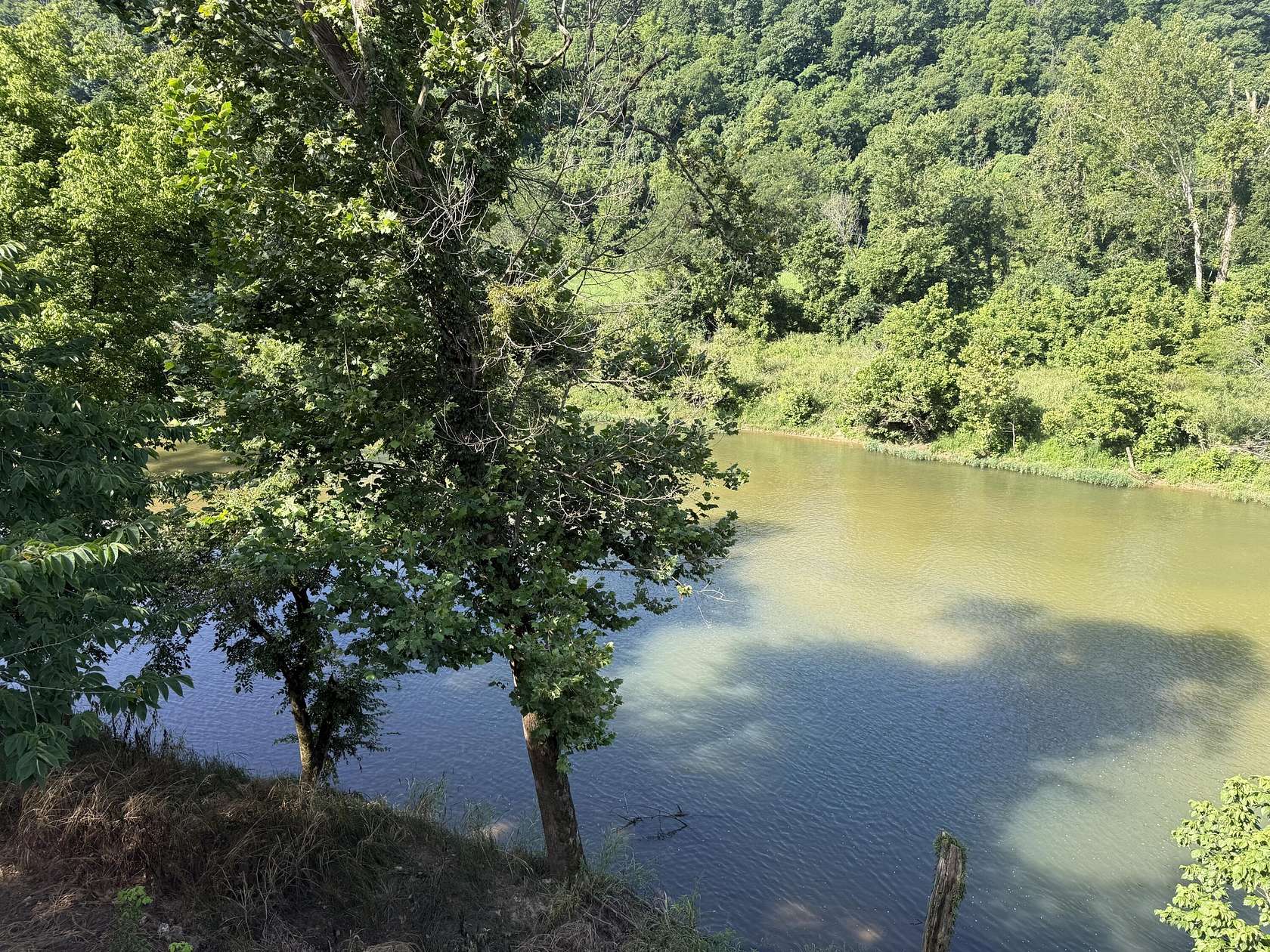 0.3 Acres of Land for Sale in Dora, Missouri