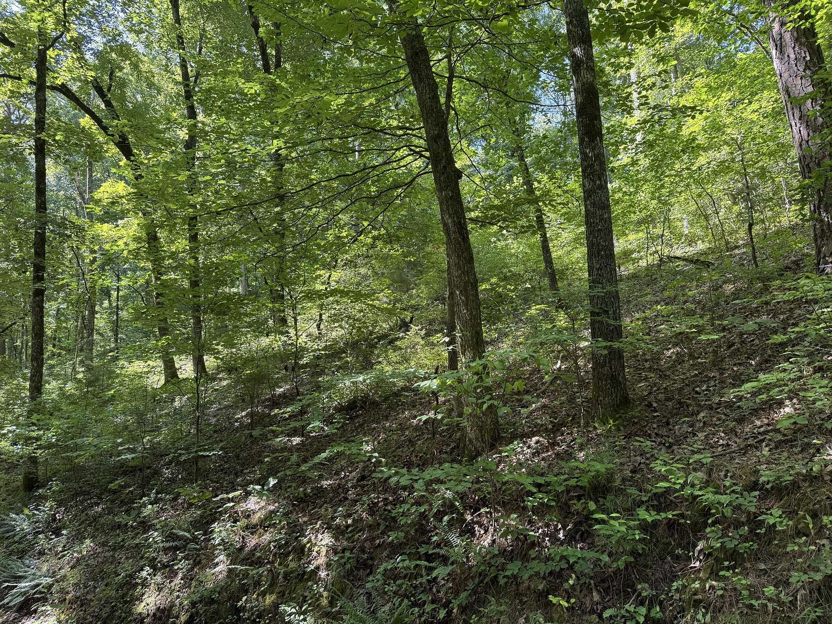 33 Acres of Recreational Land for Sale in Dora, Missouri