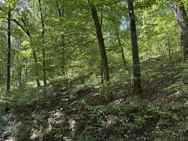 33 Acres of Recreational Land for Sale in Dora, Missouri