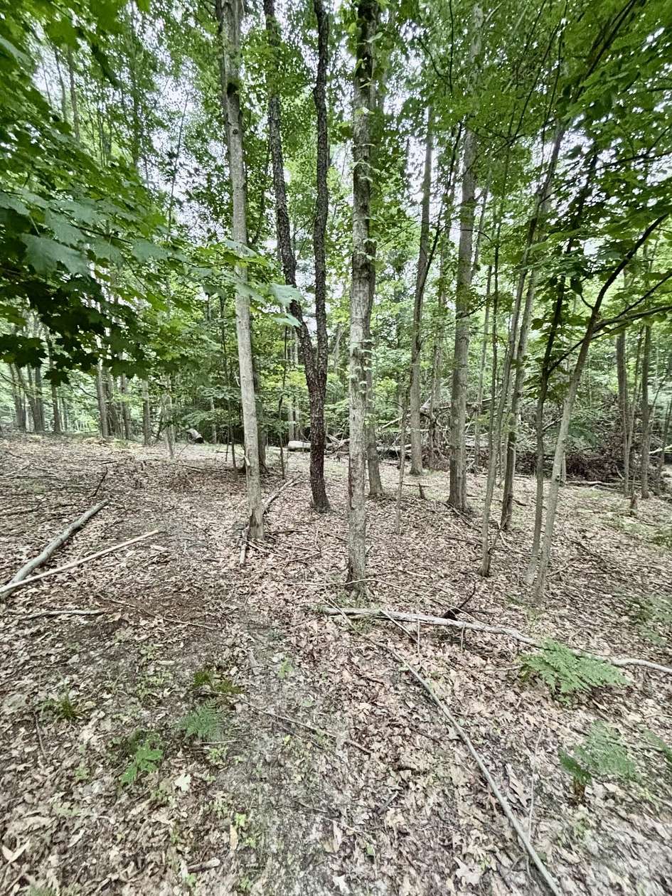 9 Acres of Residential Land for Sale in Grant, Michigan