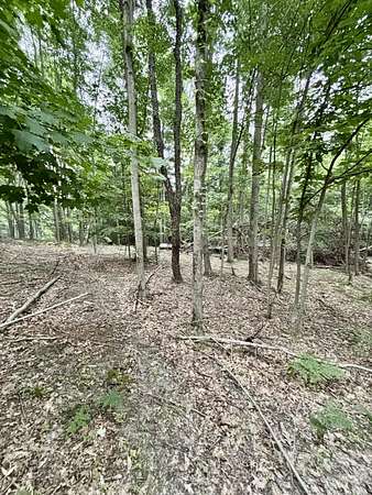 9 Acres of Residential Land for Sale in Grant, Michigan