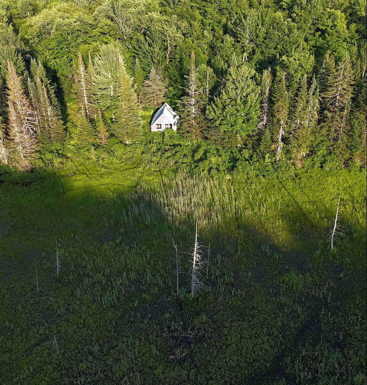 47.4 Acres of Recreational Land for Sale in Coventry, Vermont