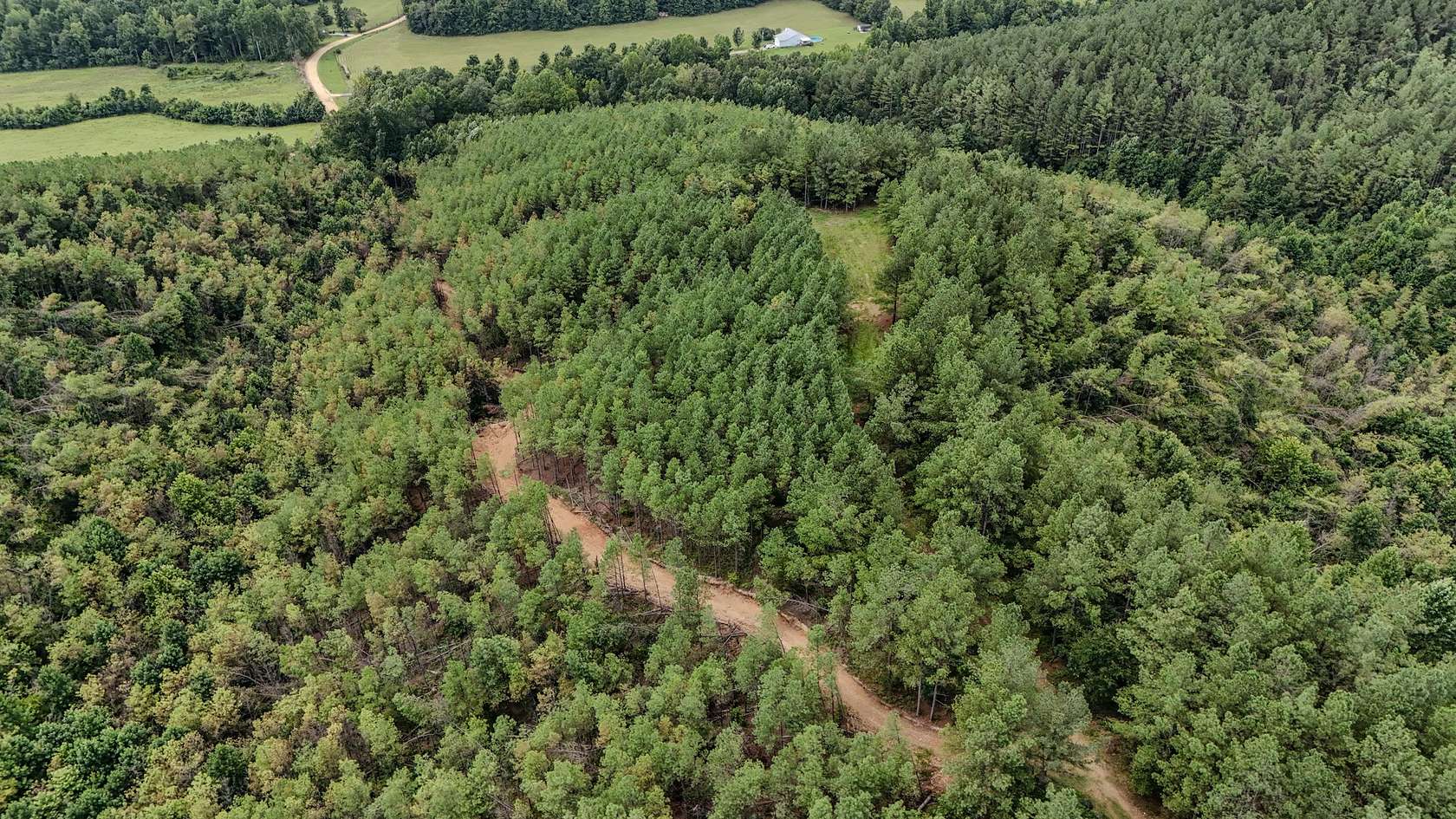 80 Acres of Land for Sale in Waynesboro, Tennessee