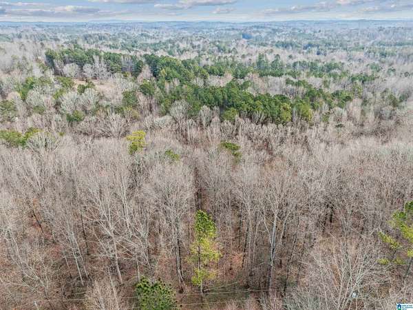 13 Acres of Land for Sale in Pell City, Alabama