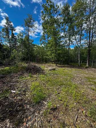 1 Acre of Residential Land for Sale in Bucksport, Maine