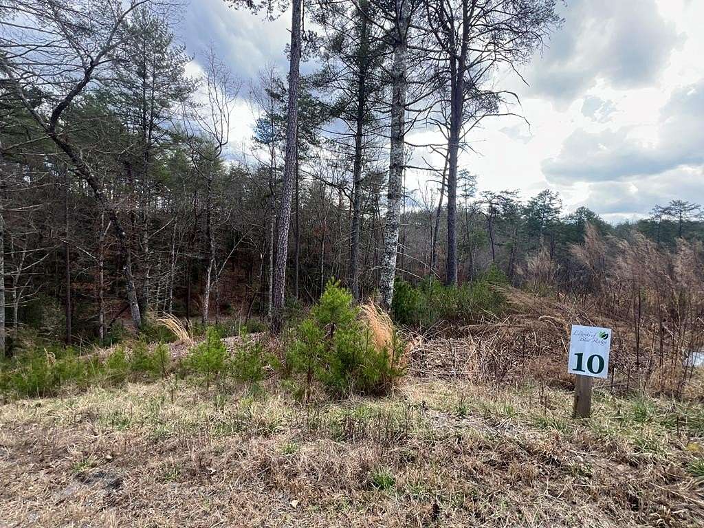 0.82 Acres of Residential Land for Sale in Mineral Bluff, Georgia