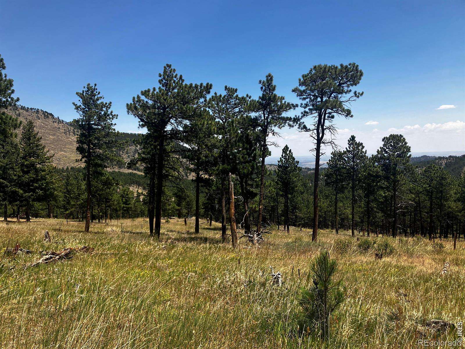 21.5 Acres of Recreational & Residential Land for Sale in Boulder, Colorado