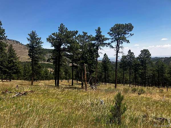 21.5 Acres of Recreational & Residential Land for Sale in Boulder, Colorado