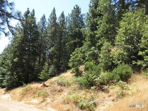 39 Acres of Recreational Land for Sale in Cazadero, California