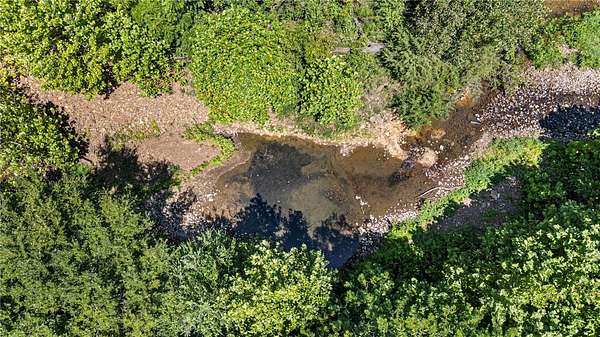 46.8 Acres of Land for Sale in Dover, Arkansas