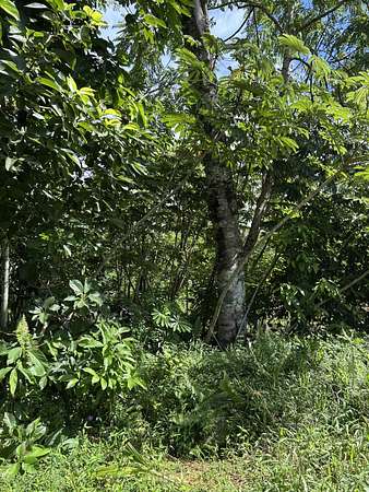 0.28 Acres of Land for Sale in Pahoa, Hawaii