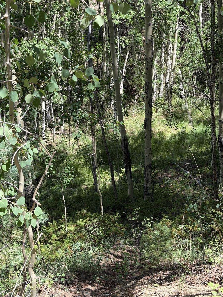 19.4 Acres of Recreational Land for Sale in San Luis, Colorado