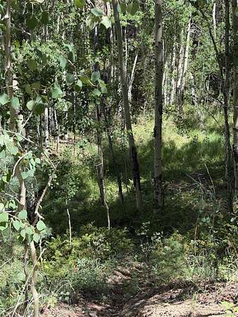 19.4 Acres of Recreational Land for Sale in San Luis, Colorado