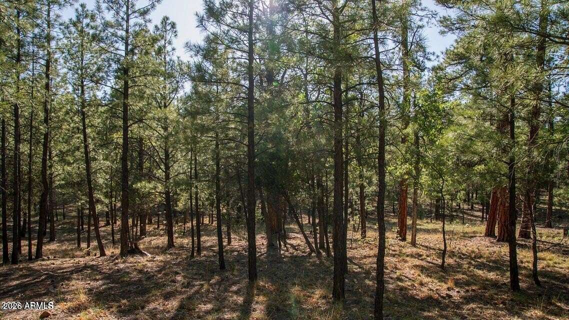 0.78 Acres of Residential Land for Sale in Happy Jack, Arizona